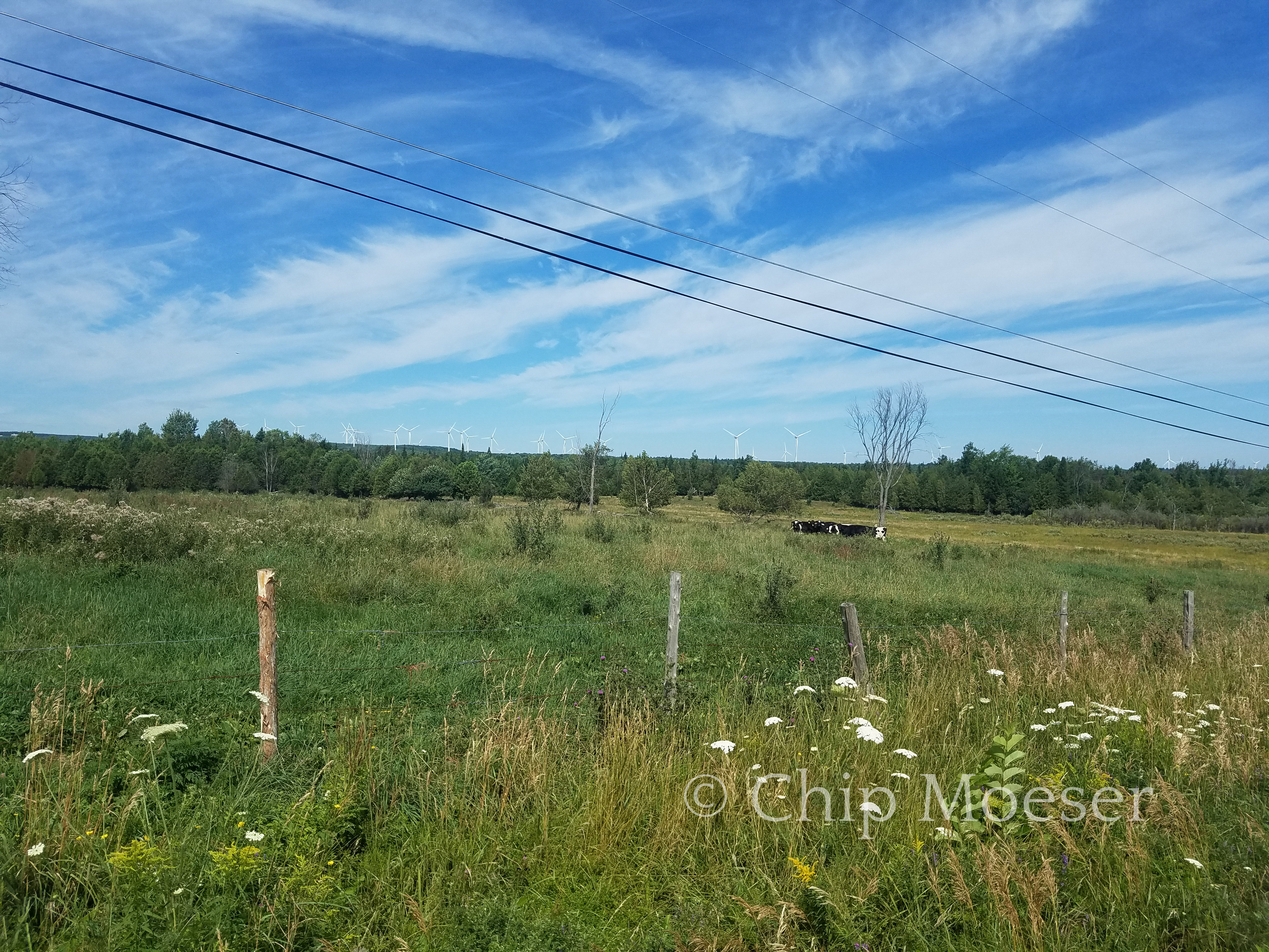 Wind farms in the distance