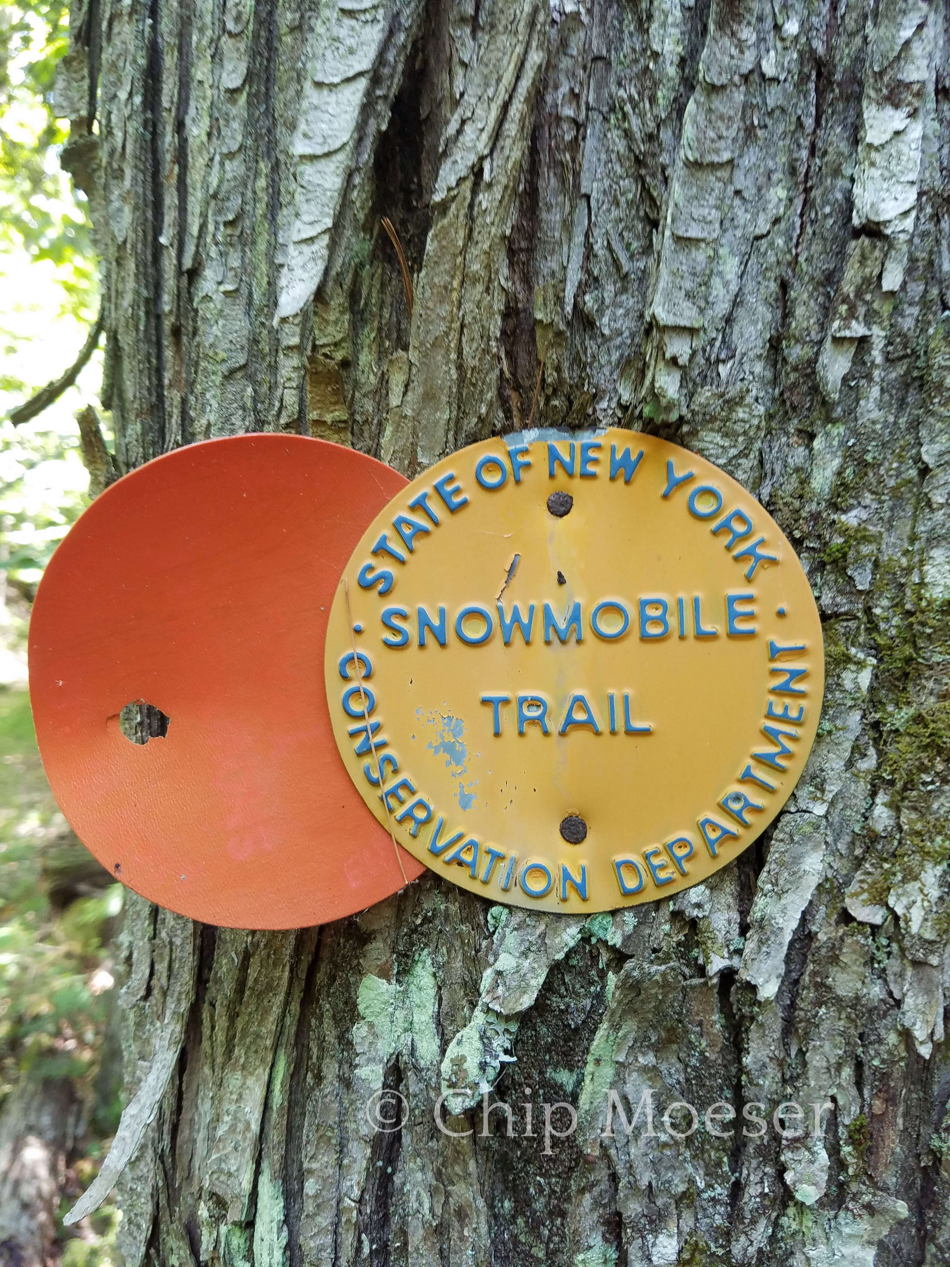 DEC Snowmobile Trail marker
