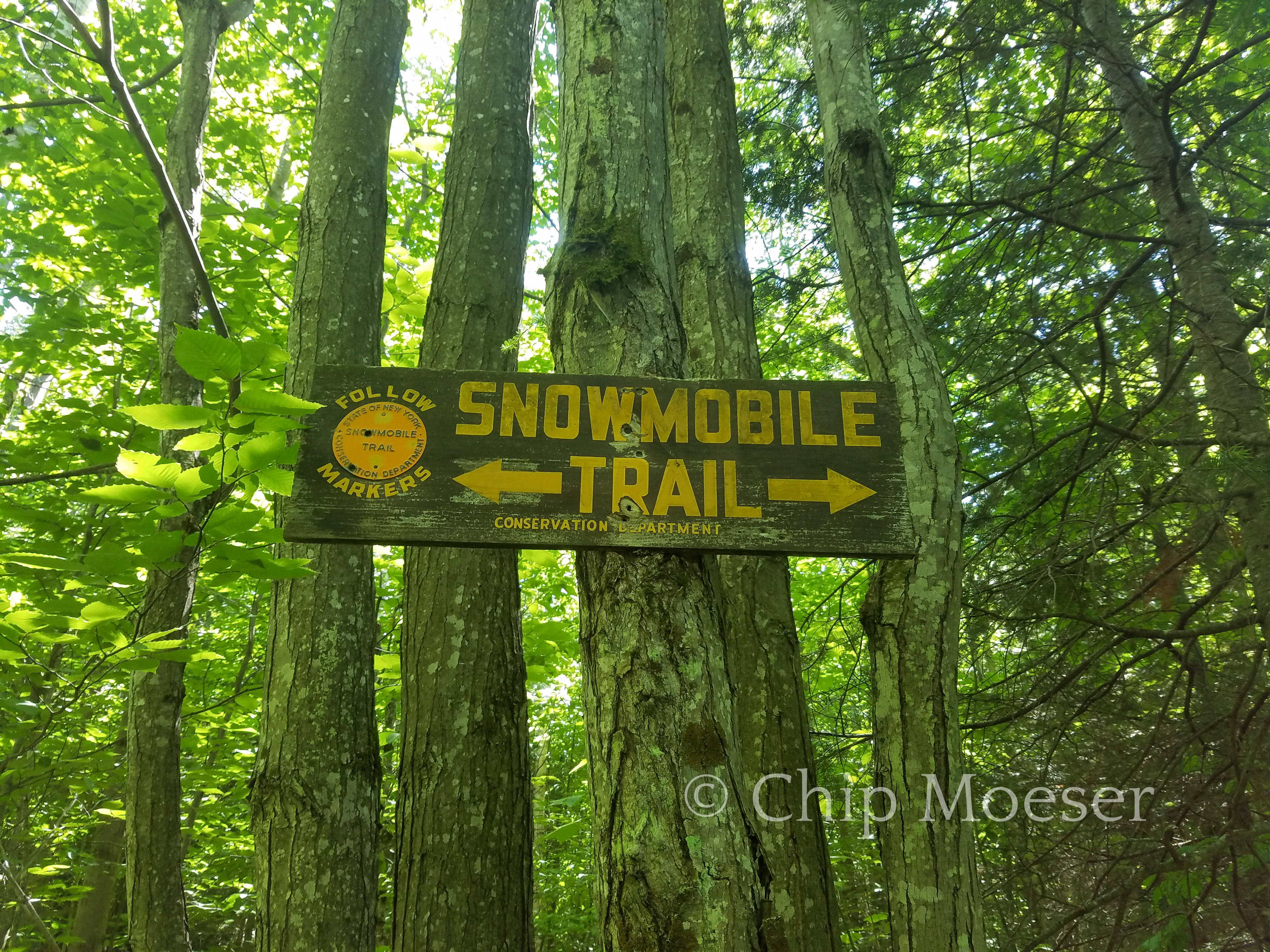 Snowmobile Trail sign