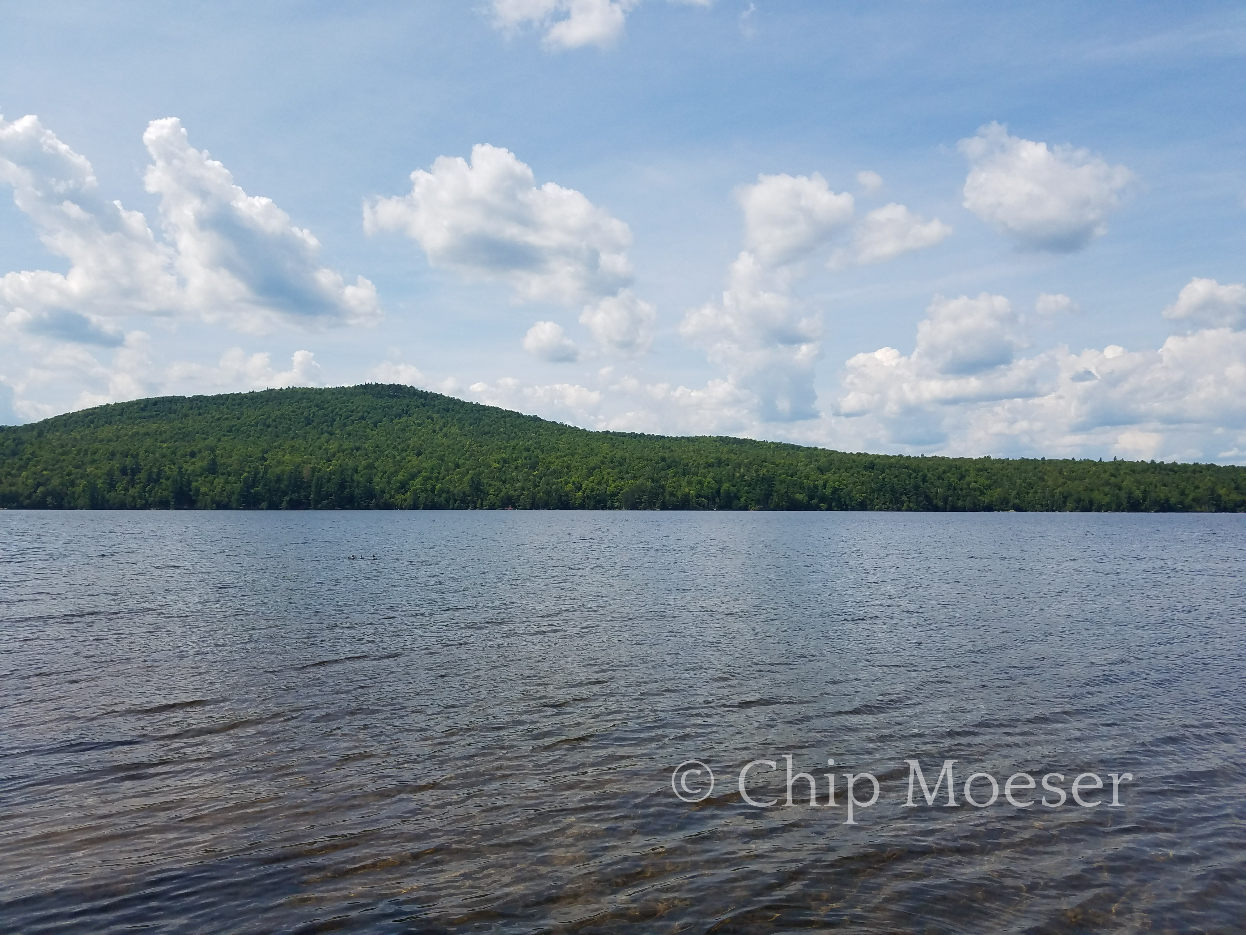 Looking north west from the south shore of Taylor Pond