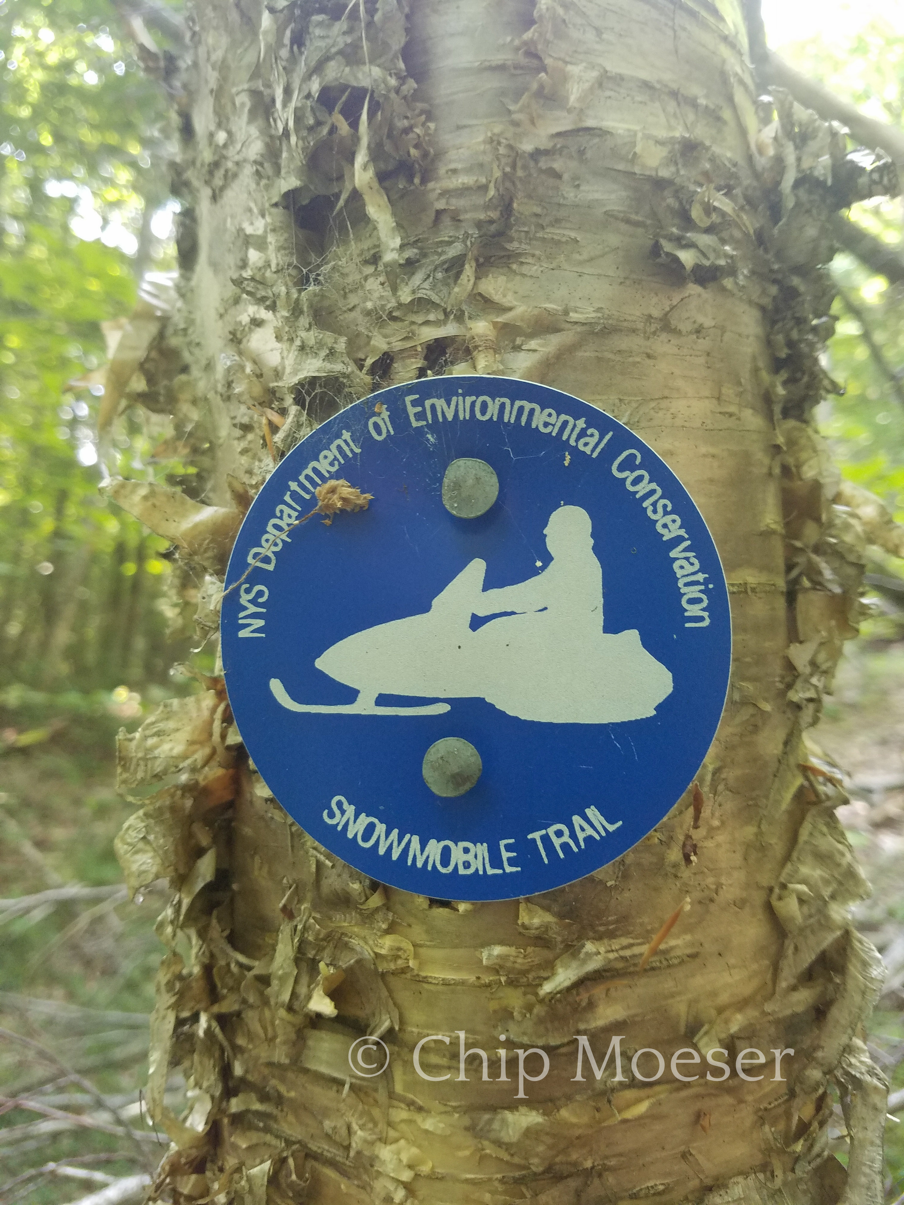 DEC Snowmobile Trail marker