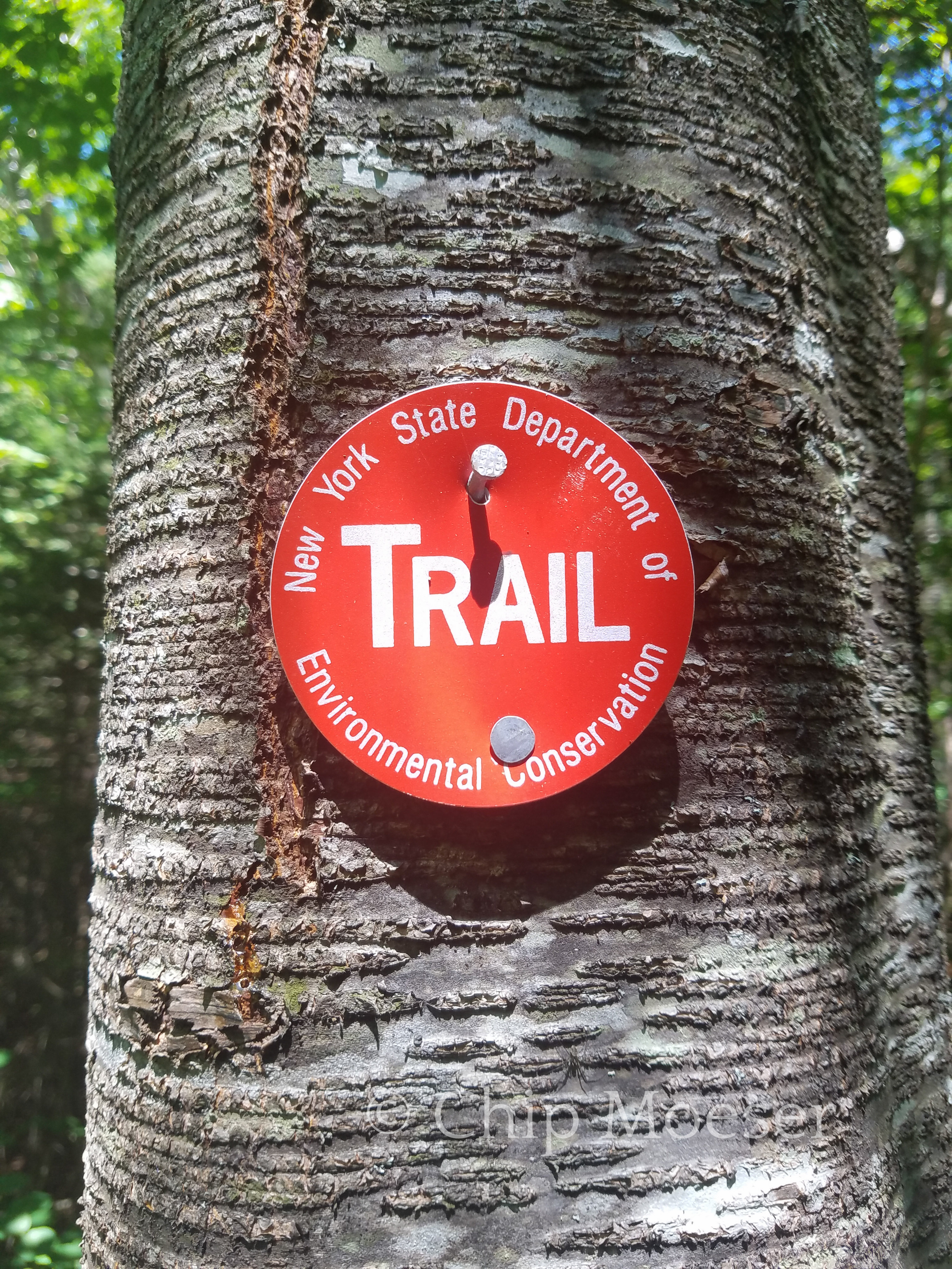 DEC Trail marker