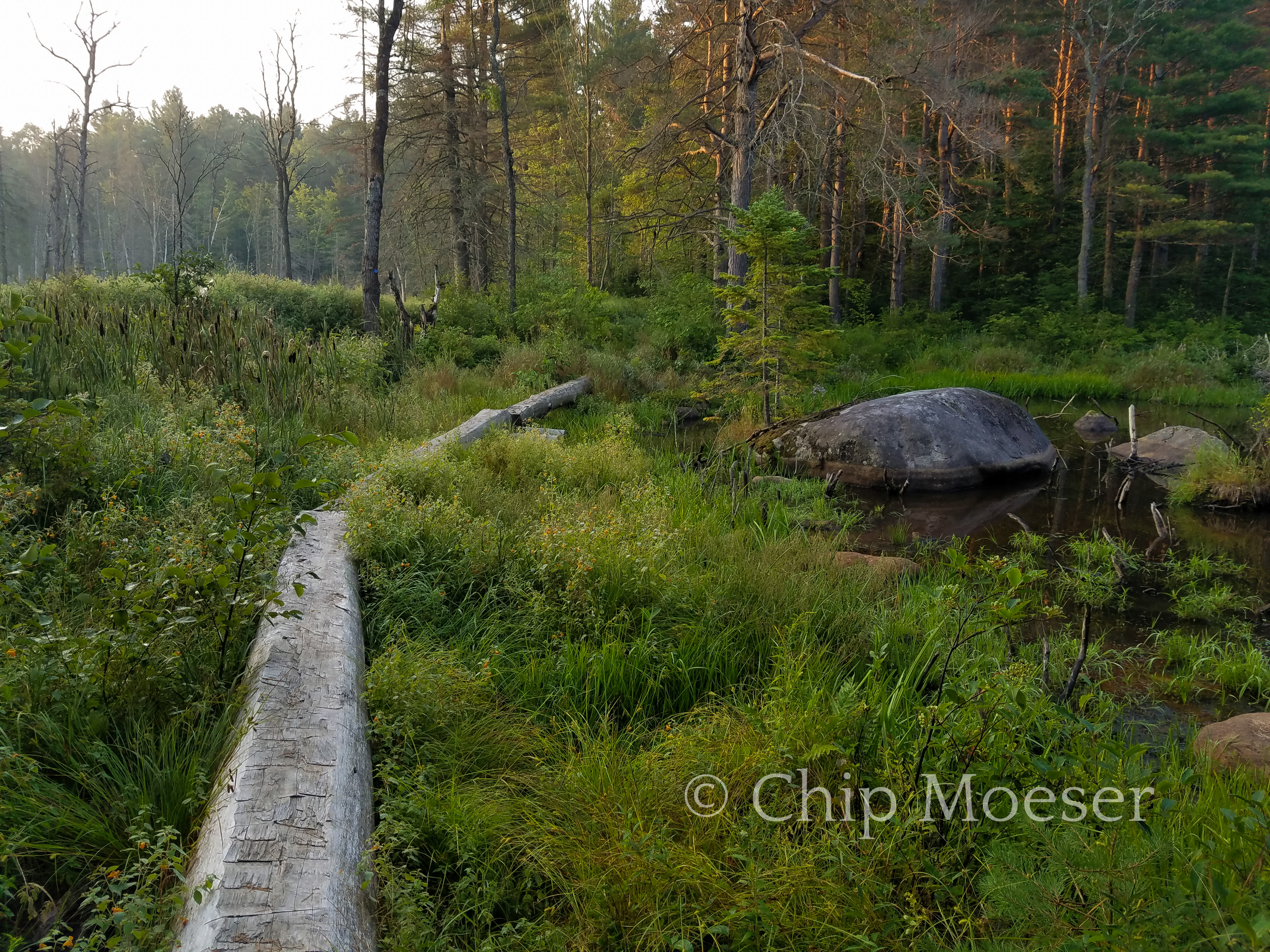 Northville Placid Trail