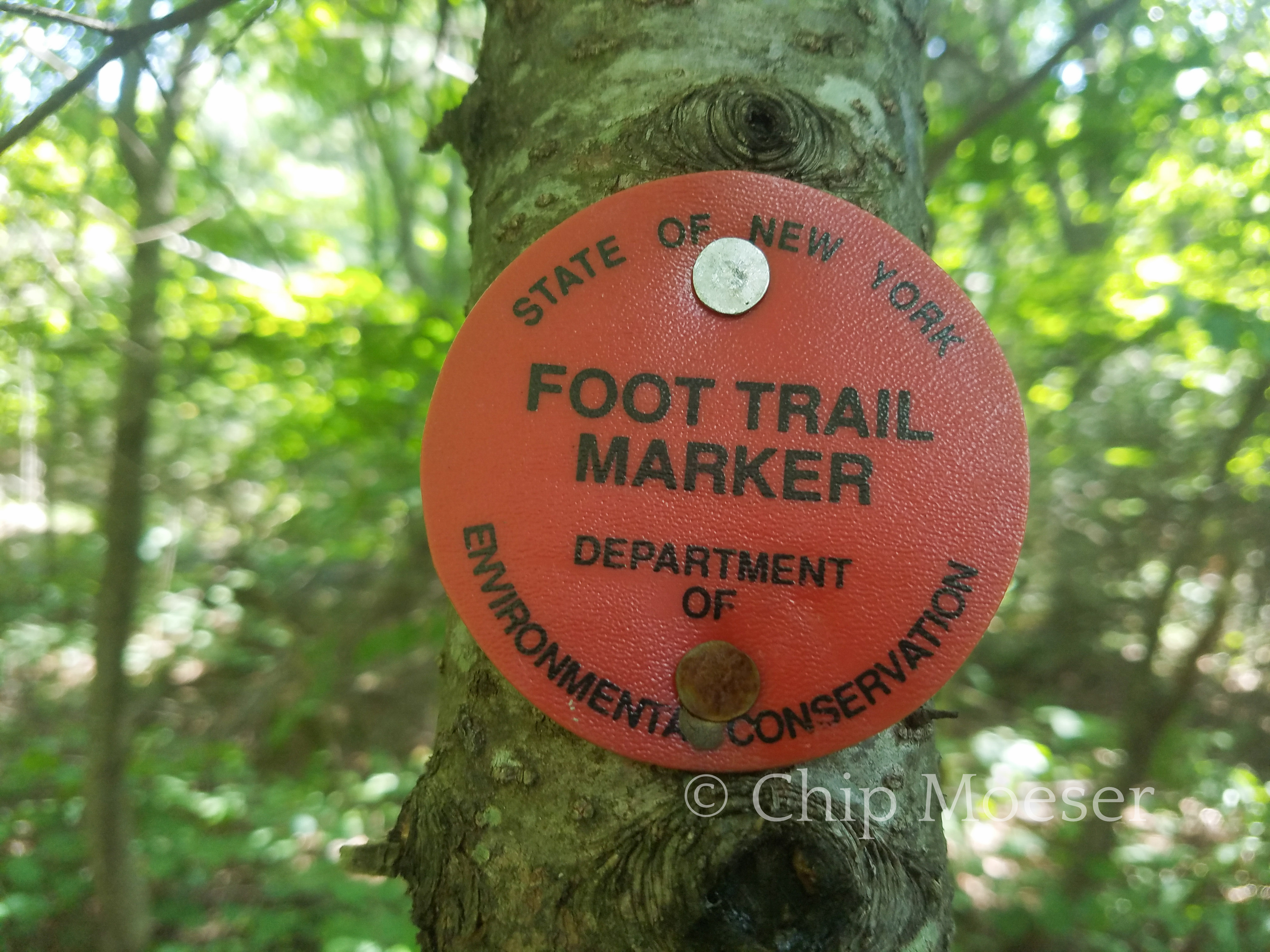 DEC Foot Trail marker