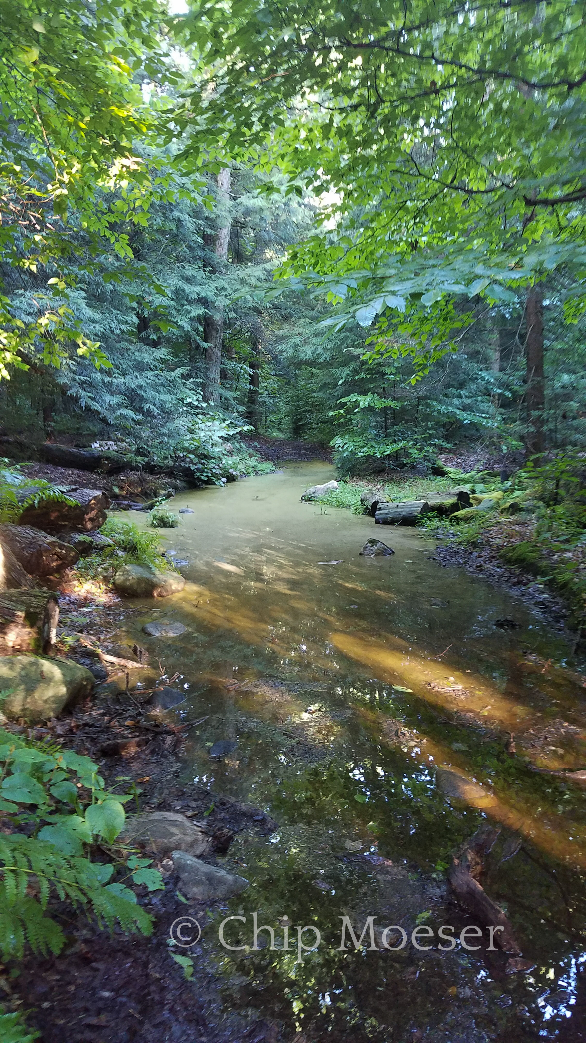 Soaked Trails