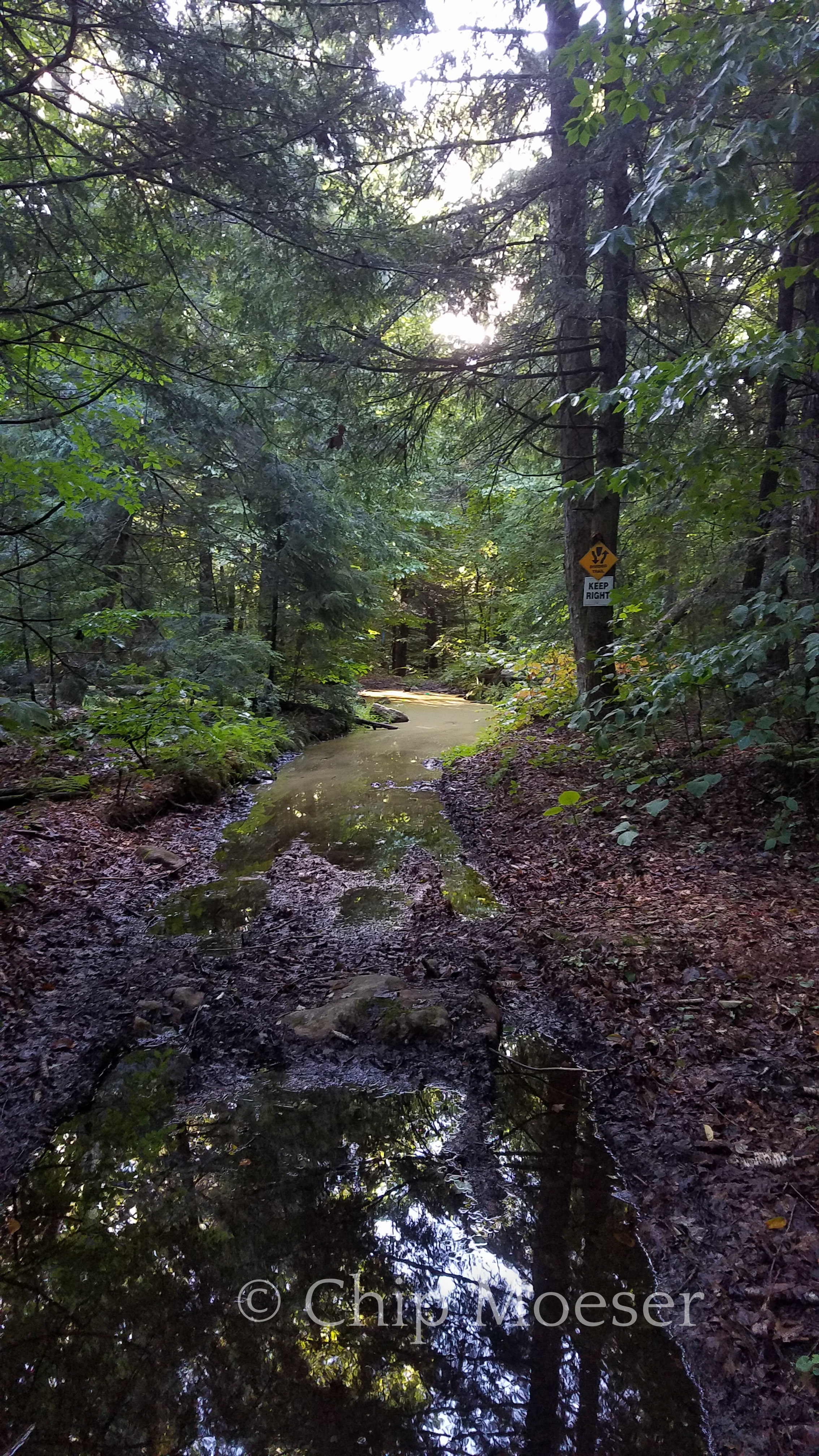 Soaked Trails