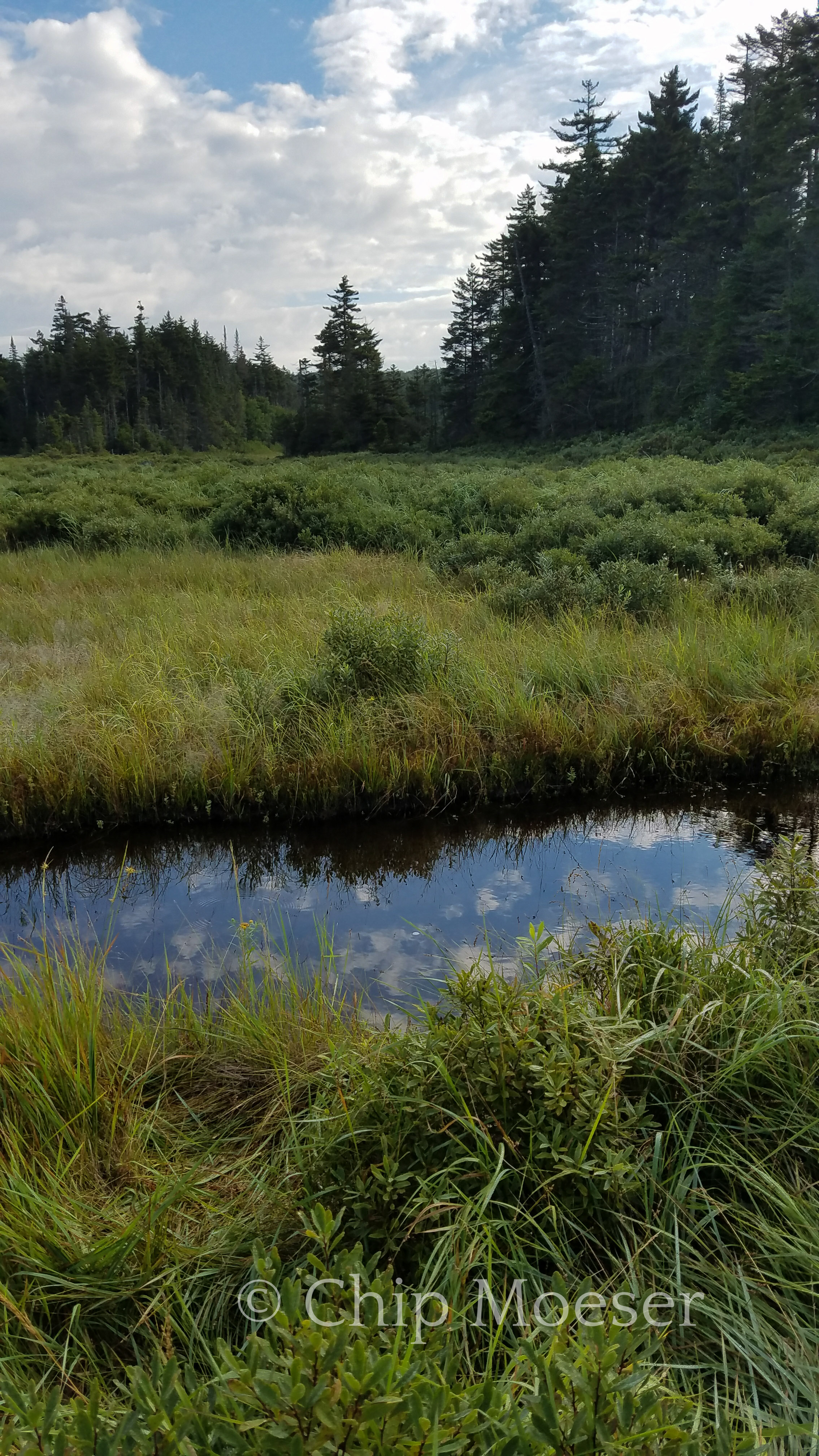 Whitney Creek crossing