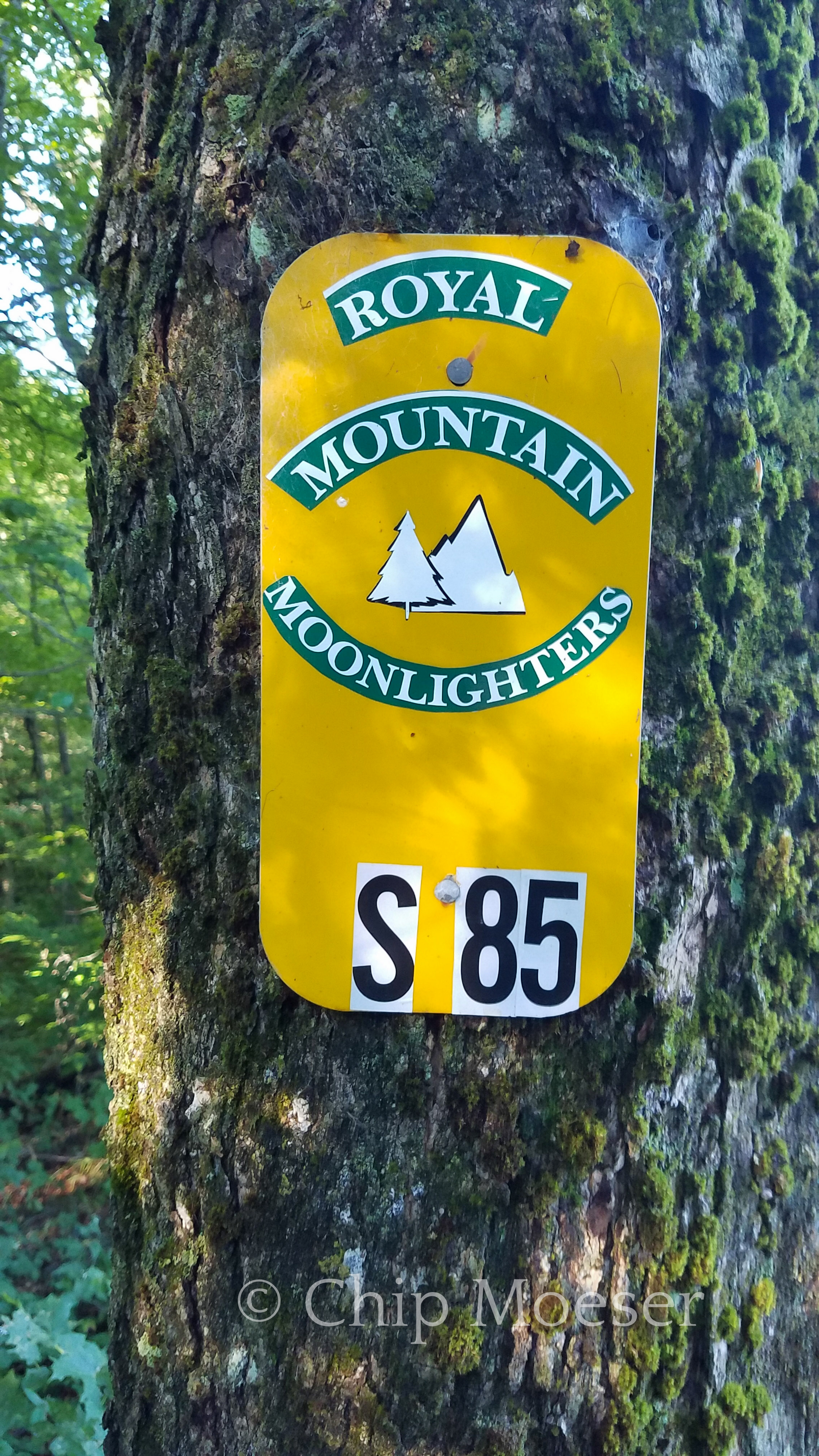Royal Mountain Moonlighters