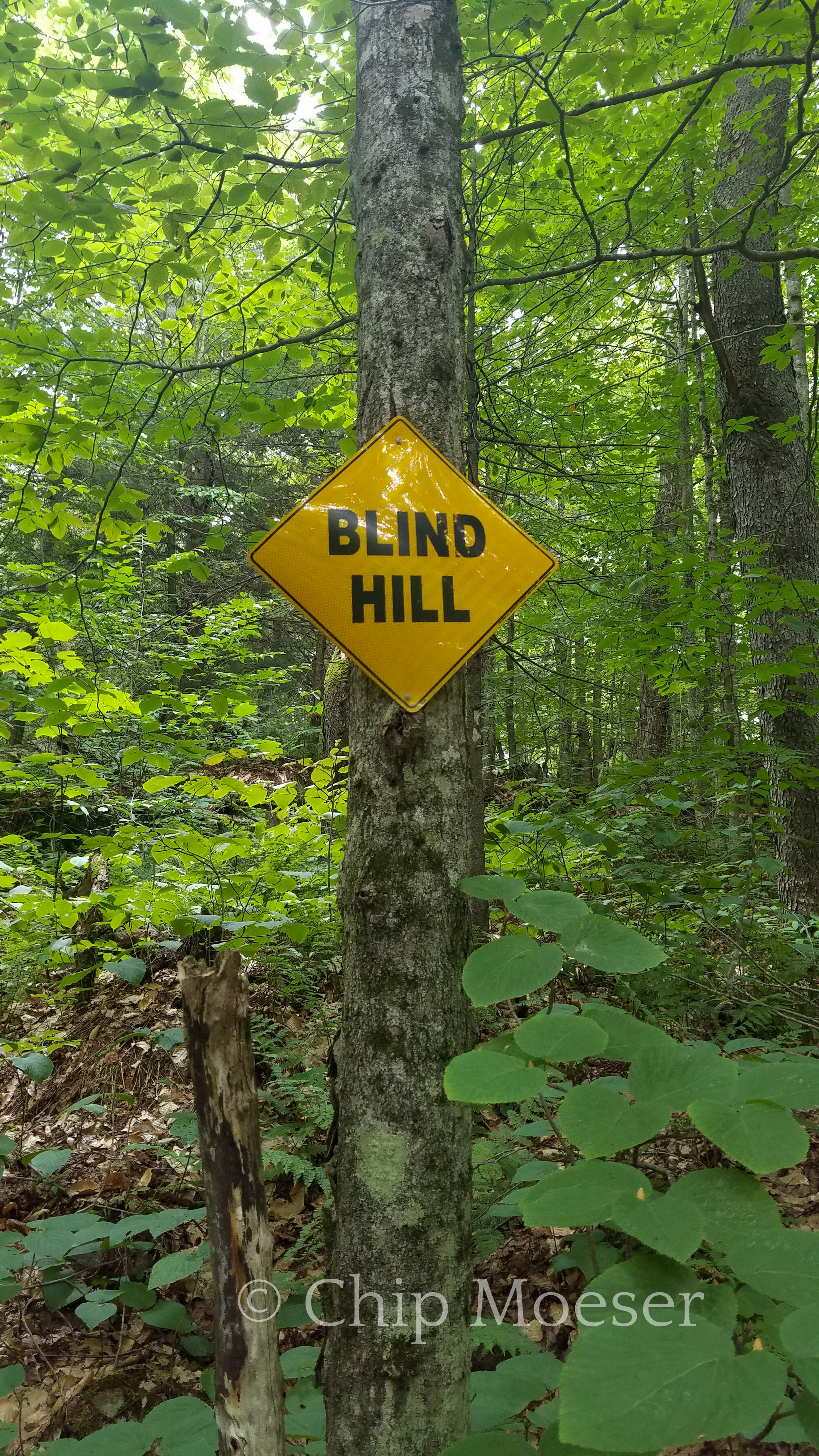 Blind hill