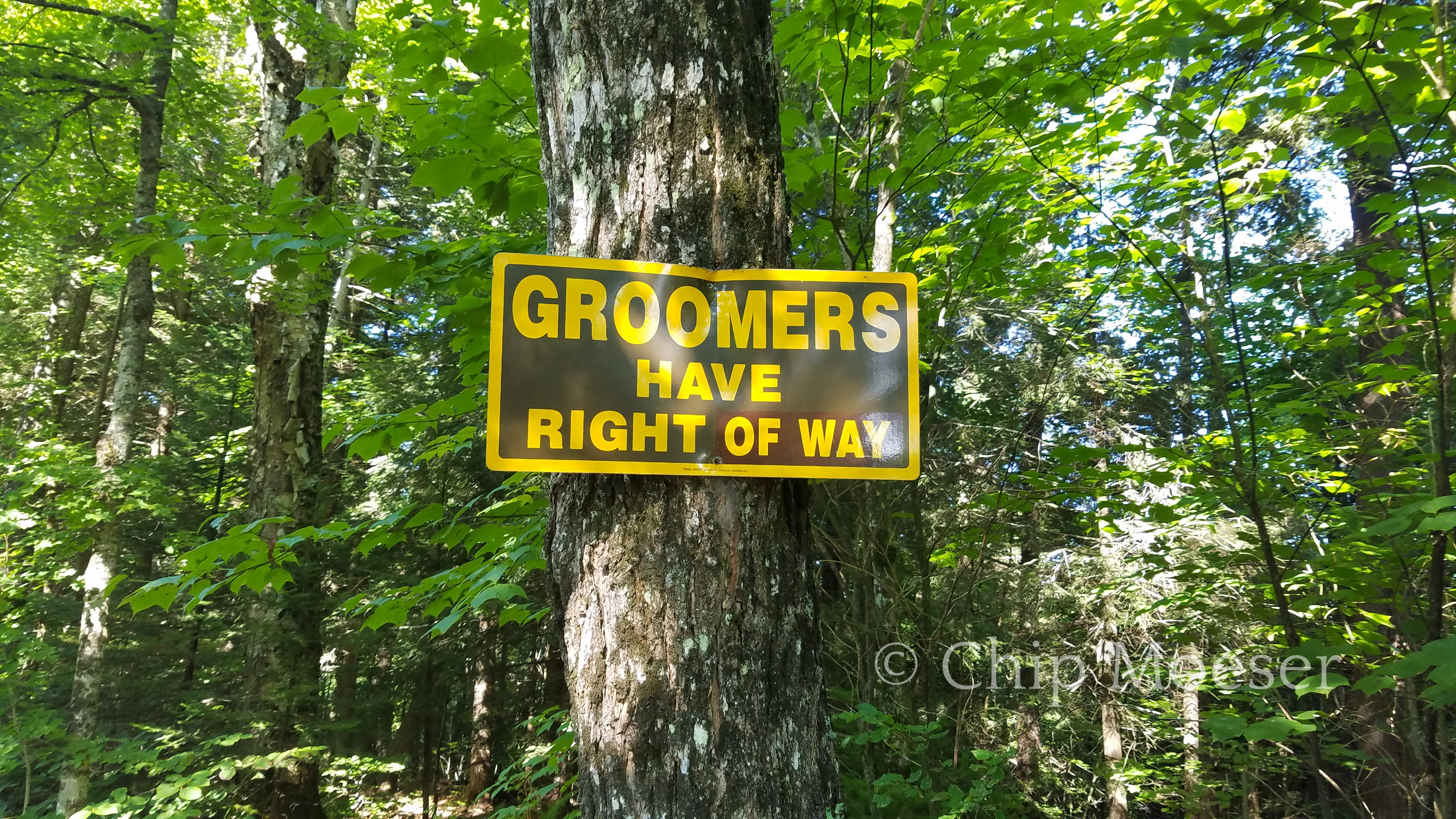 Groomers have right of way