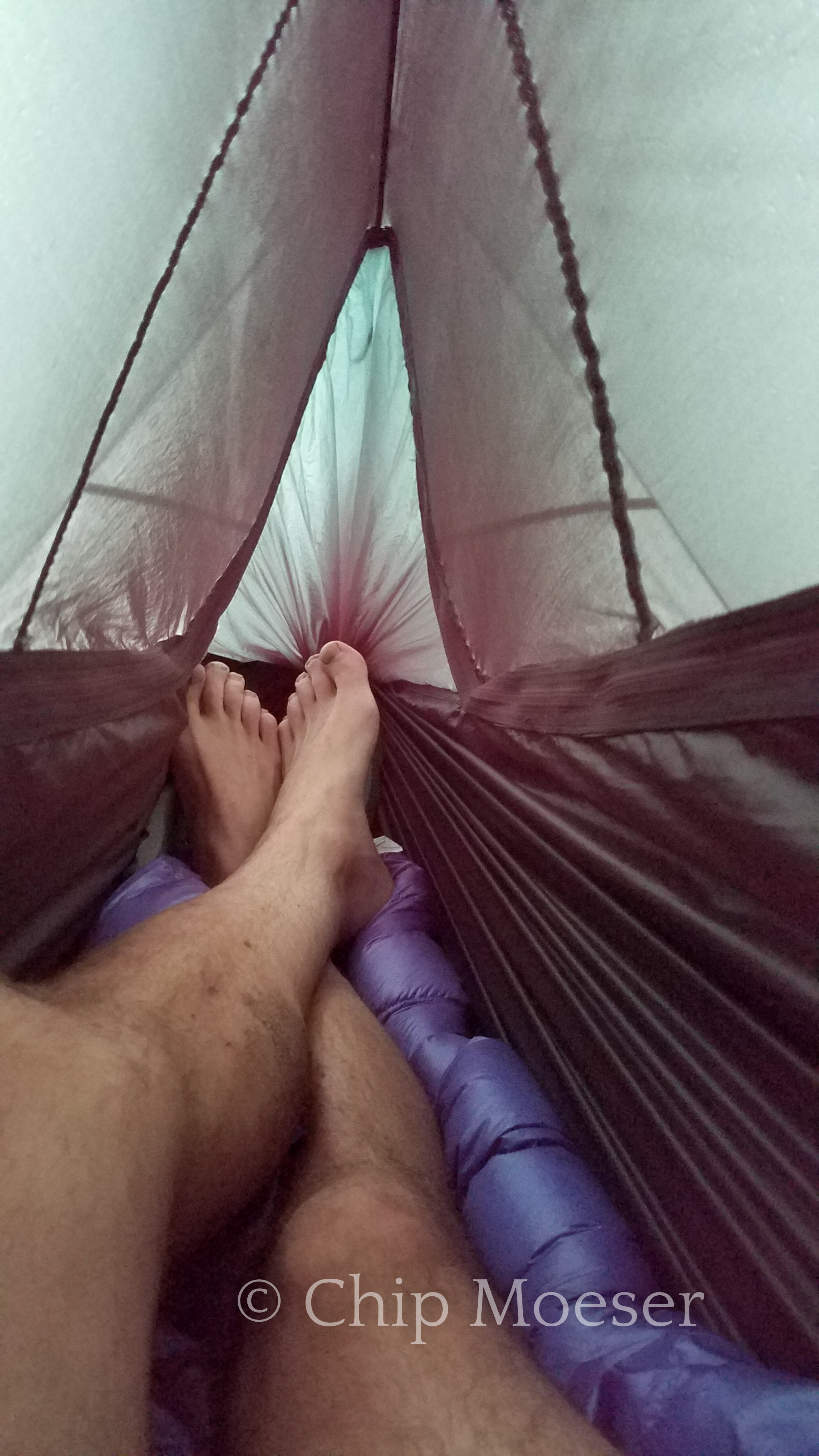 Waiting out the rain high and dry in my hammock