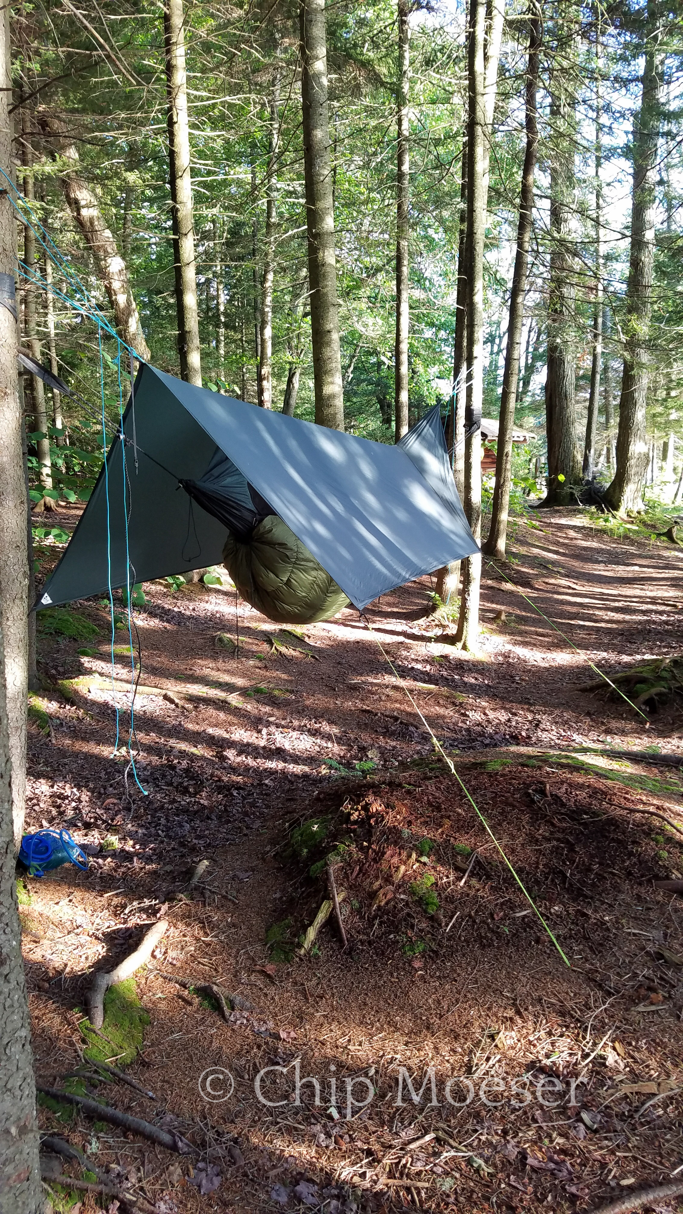 Hammock at Spruce Lake