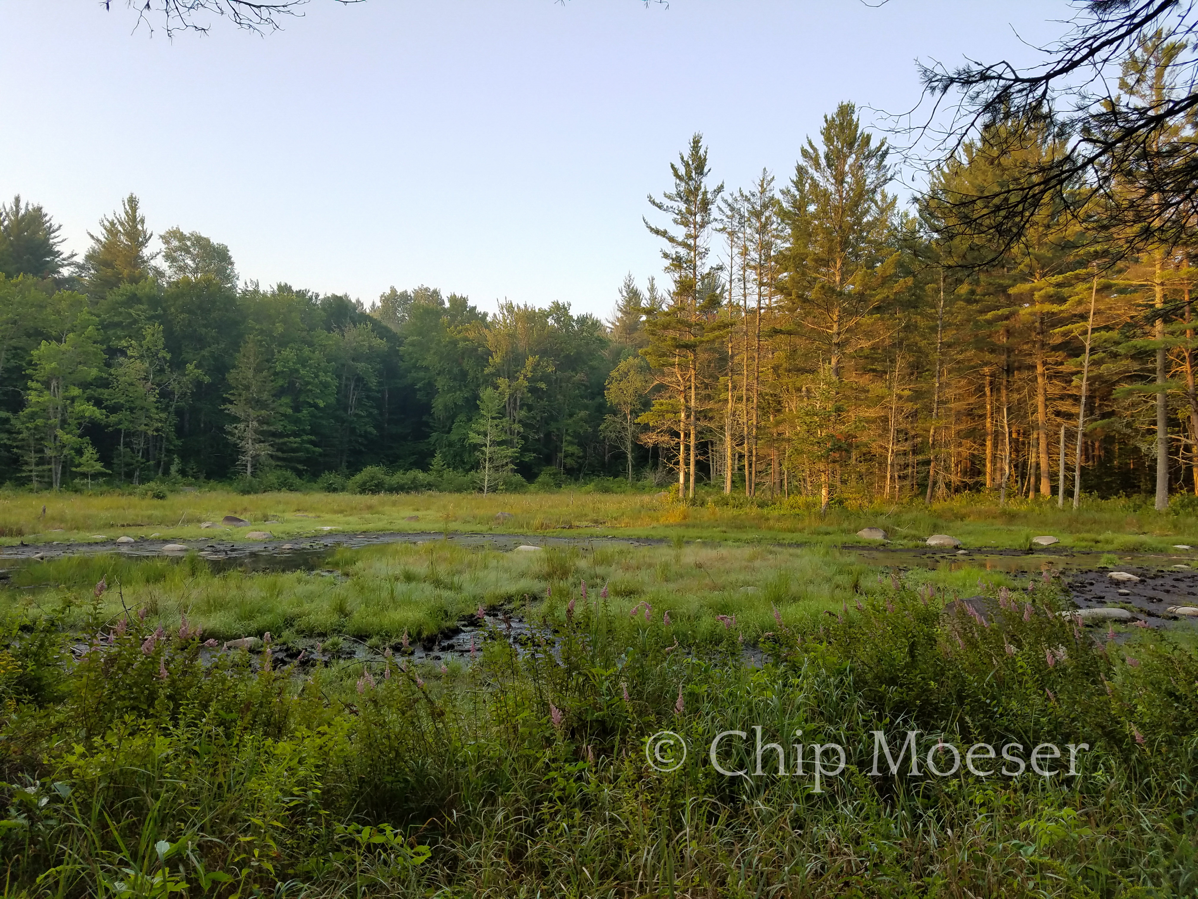 Northville Placid Trail