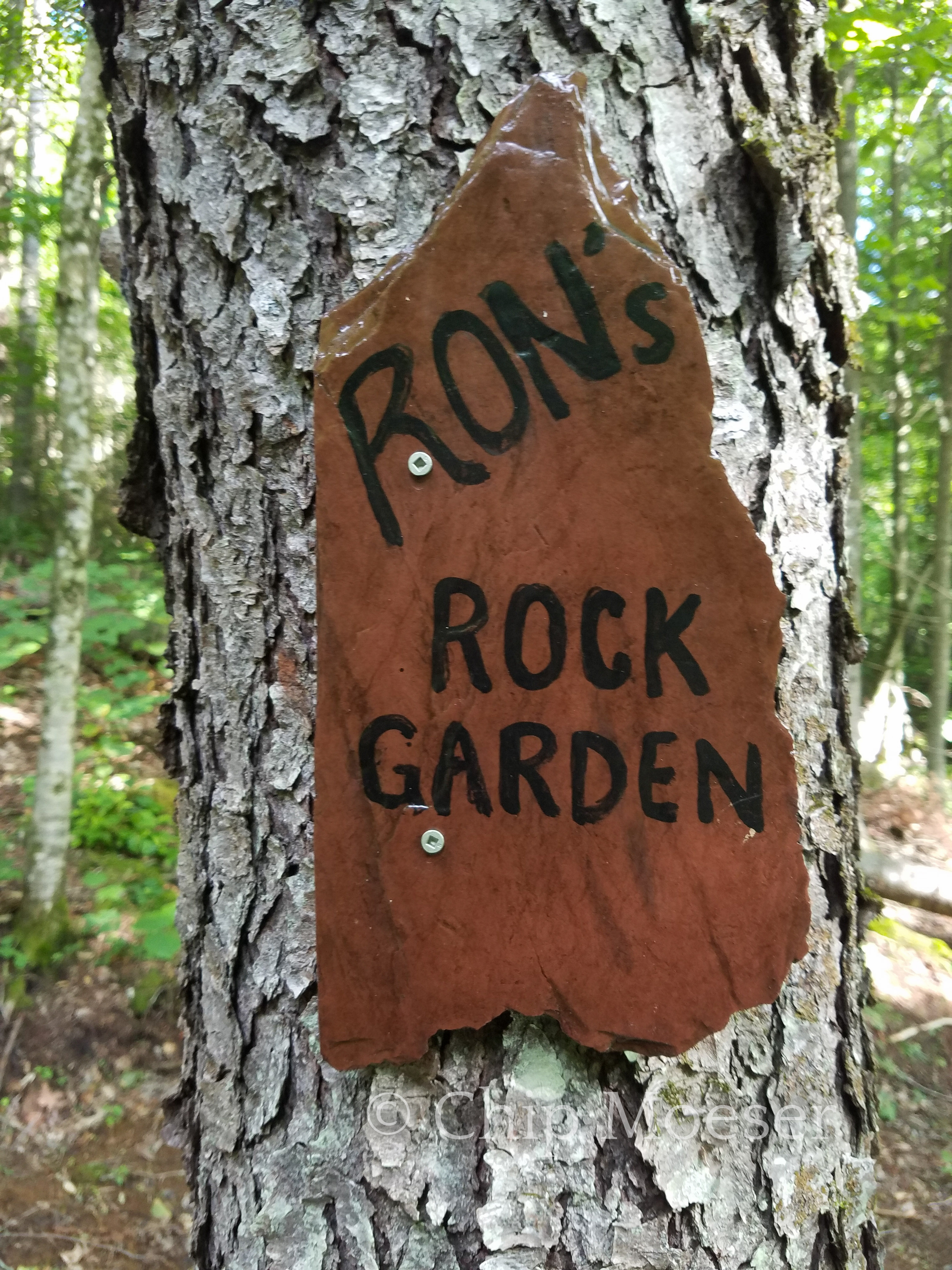 Rons Rock Garden