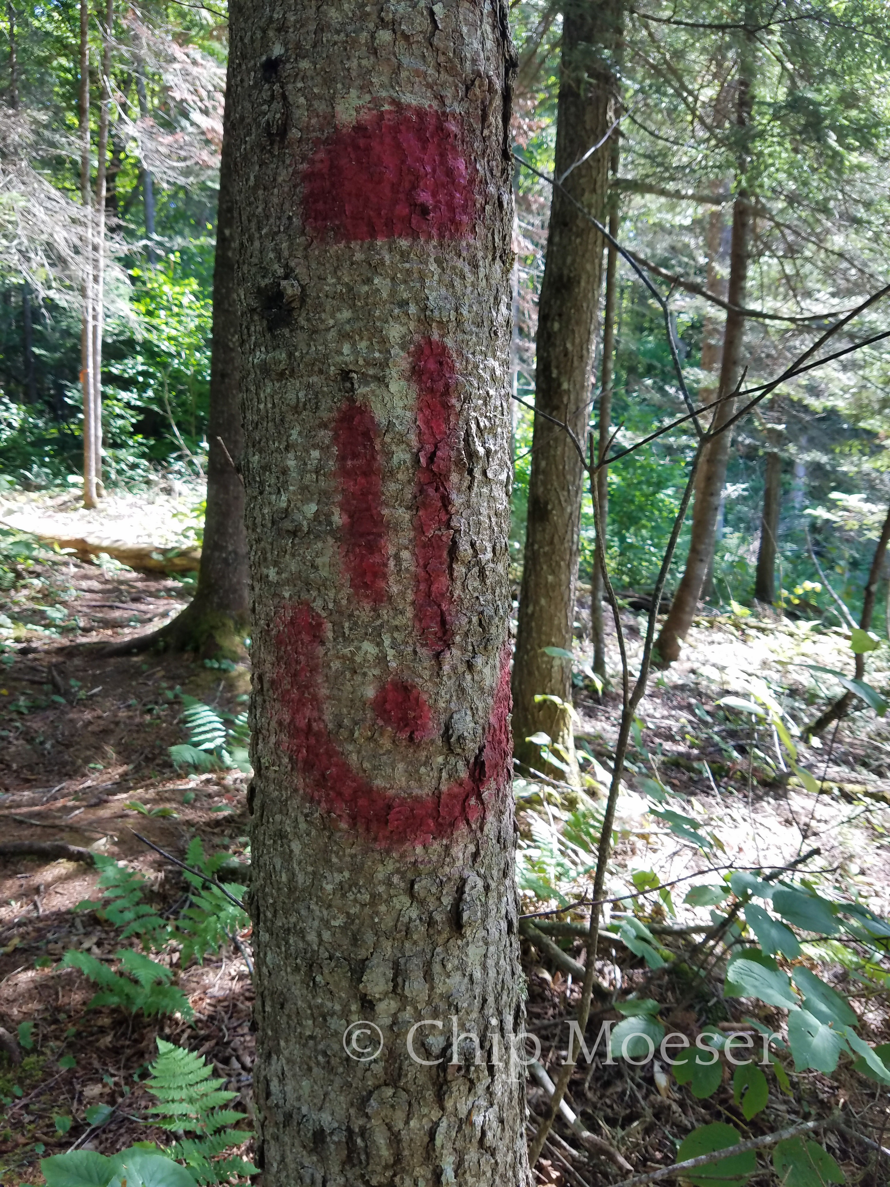 Ski trail smiley faces