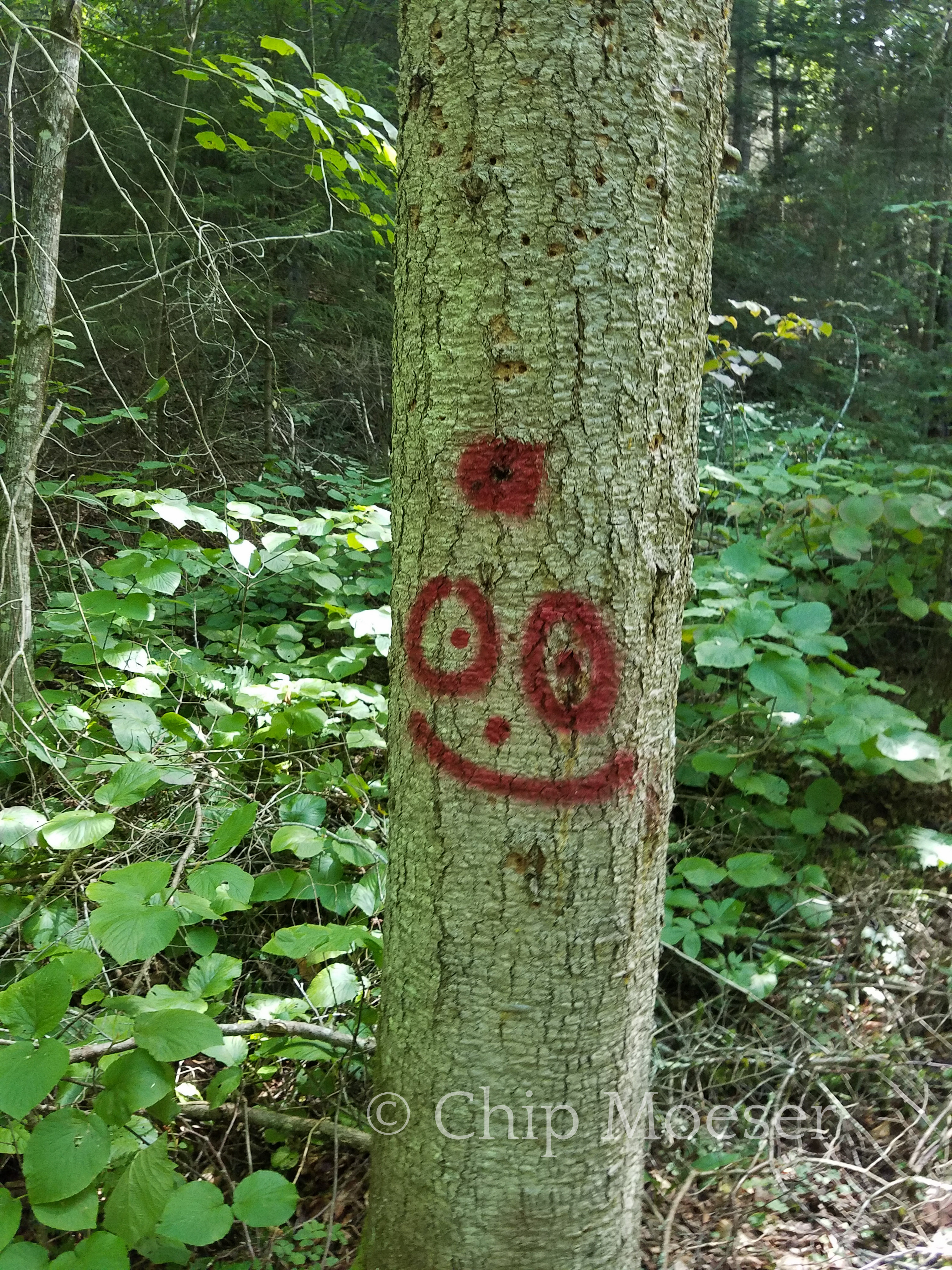 Ski trail smiley faces