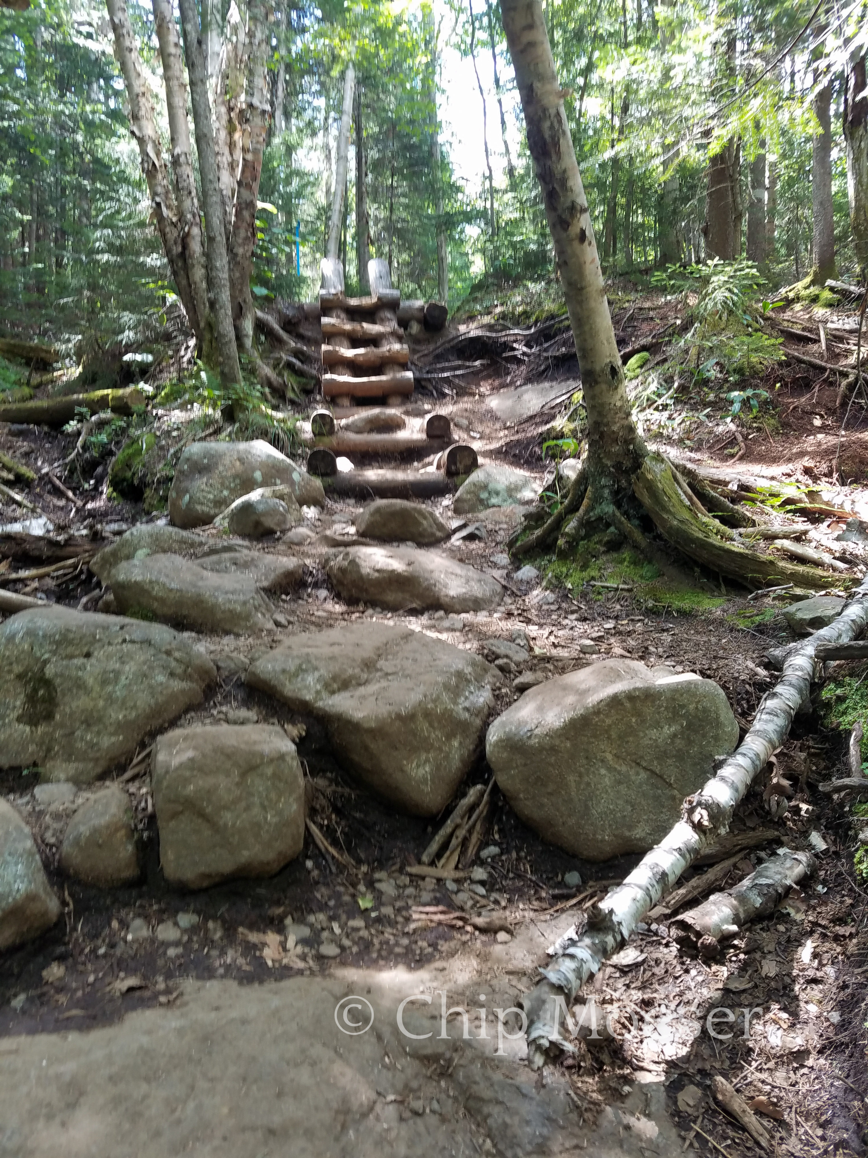 Bridges and ladders heading into Avalanche Pass