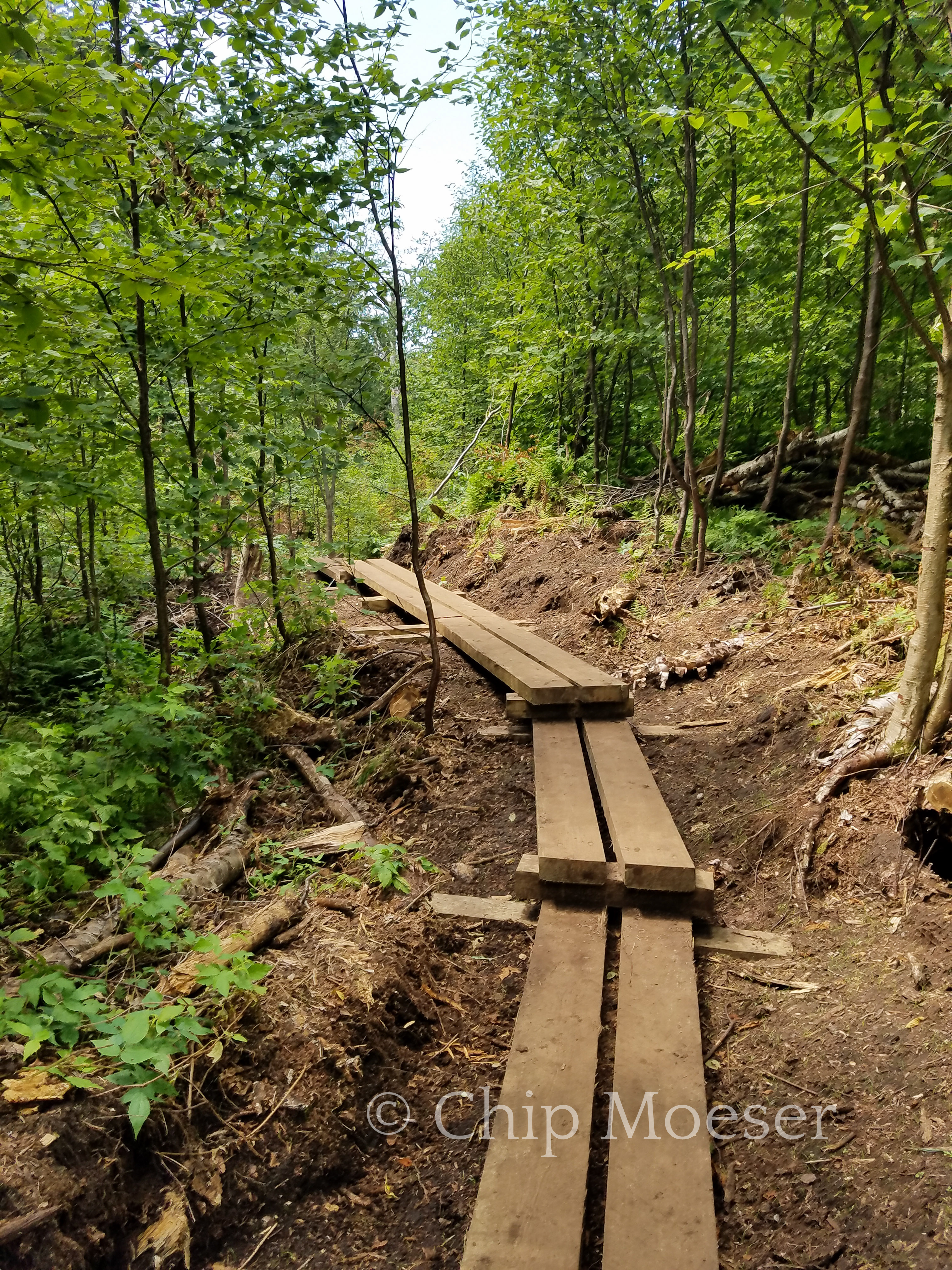 Bridges and ladders heading into Avalanche Pass