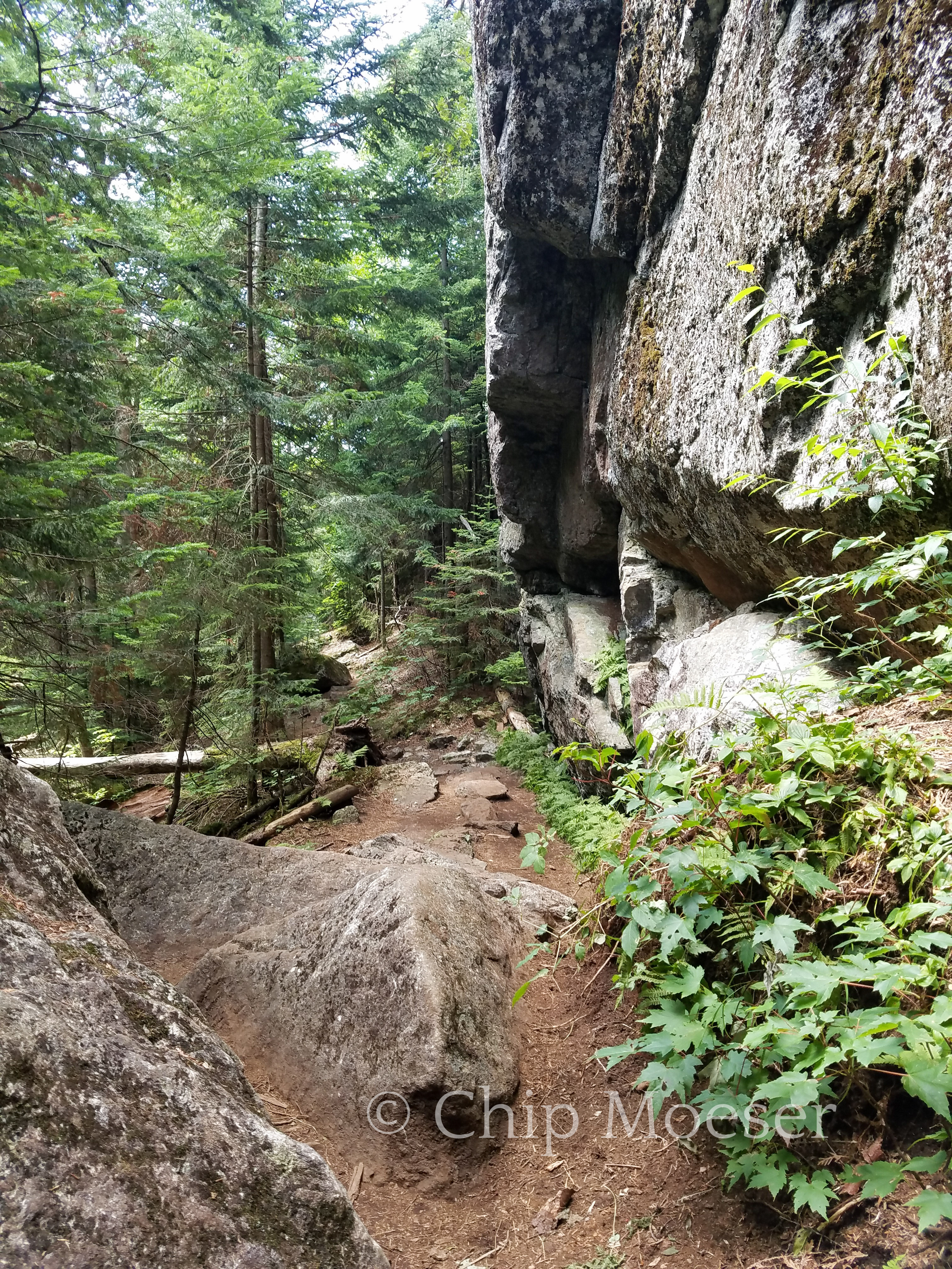 Bridges and ladders heading into Avalanche Pass