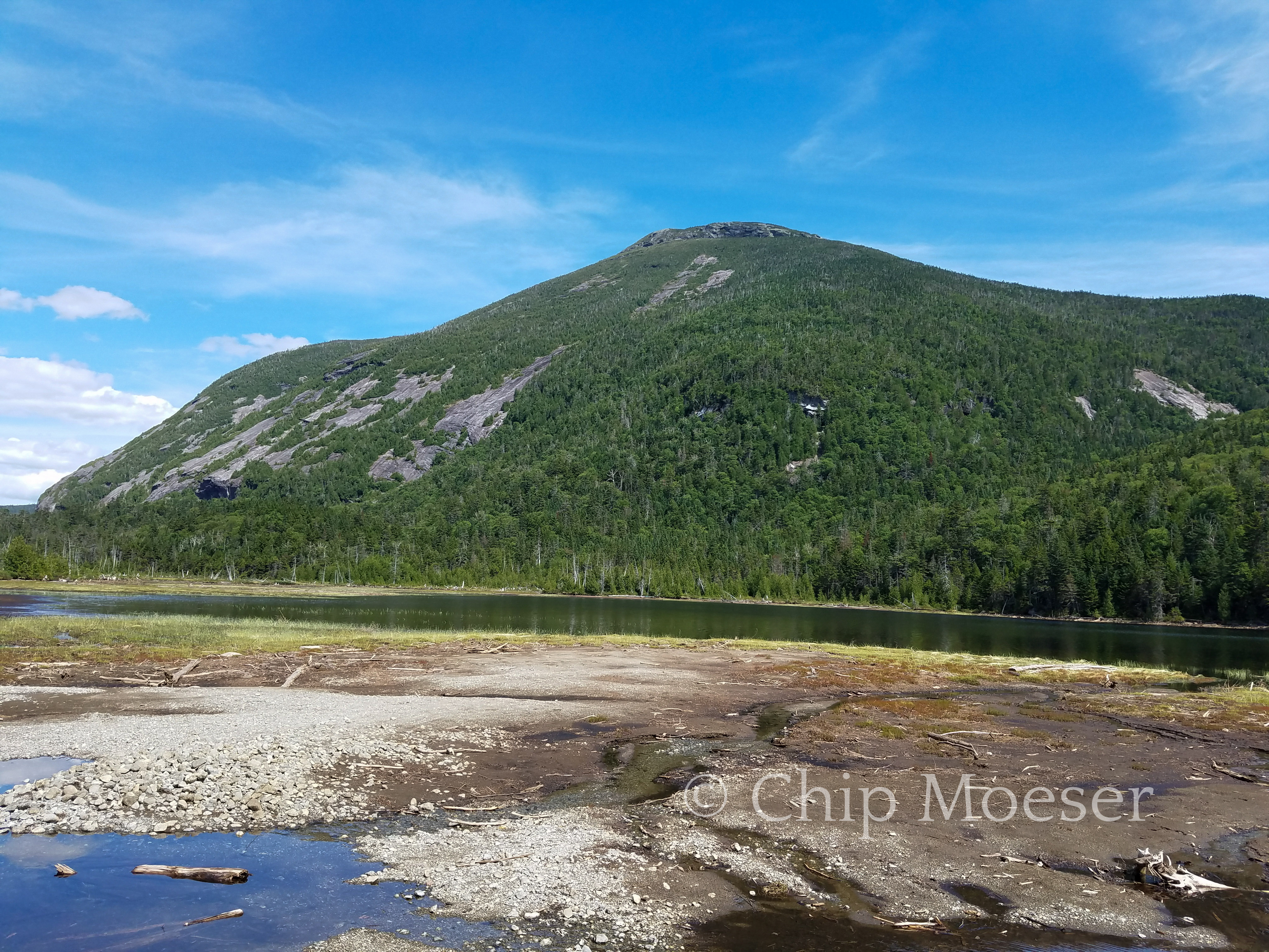 Mt Colden