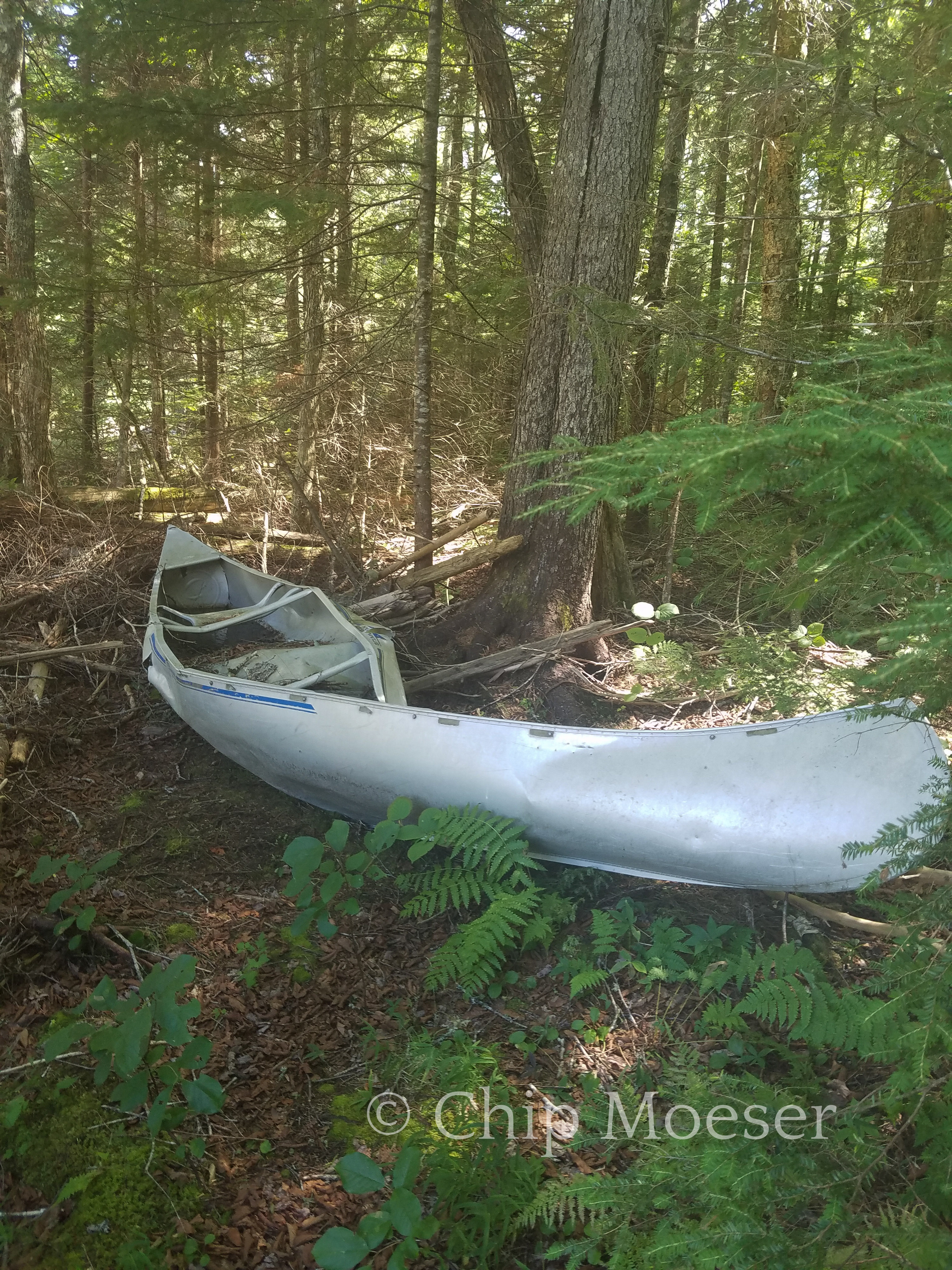 Someone's canoe trip didn't end as planned